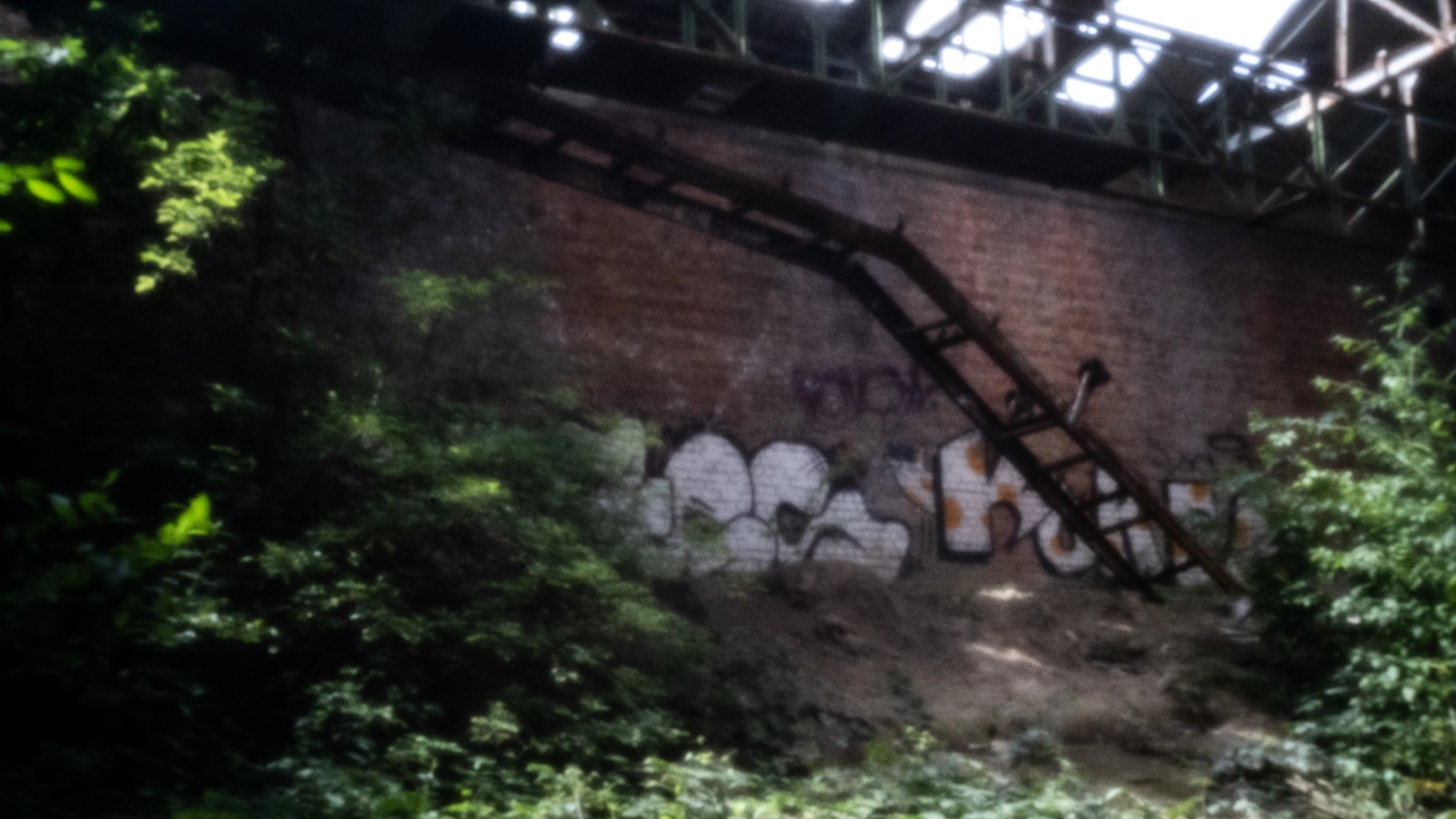 Overgrown staircase against an old factory wall