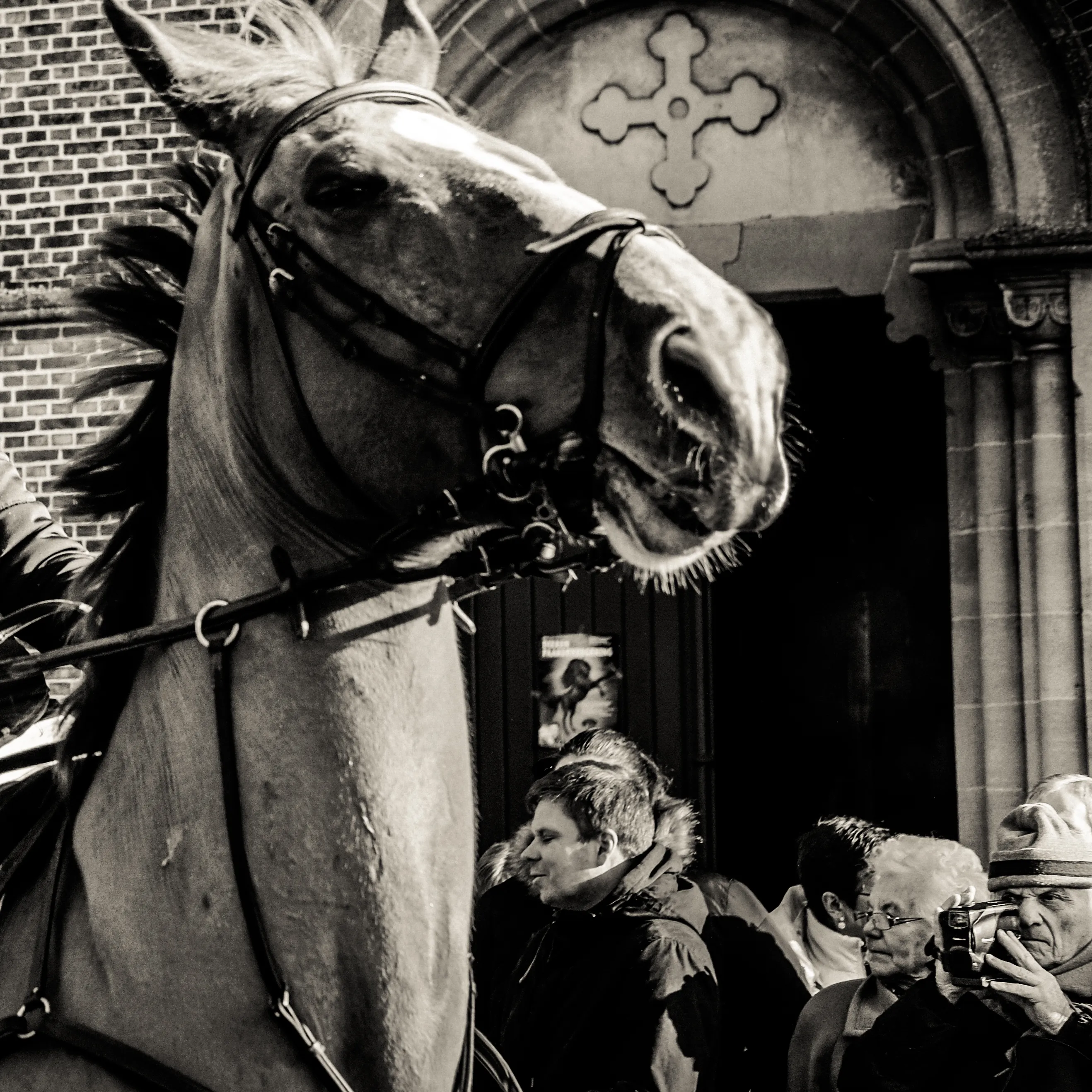 Horse with a cross ornament in front of a dark church door