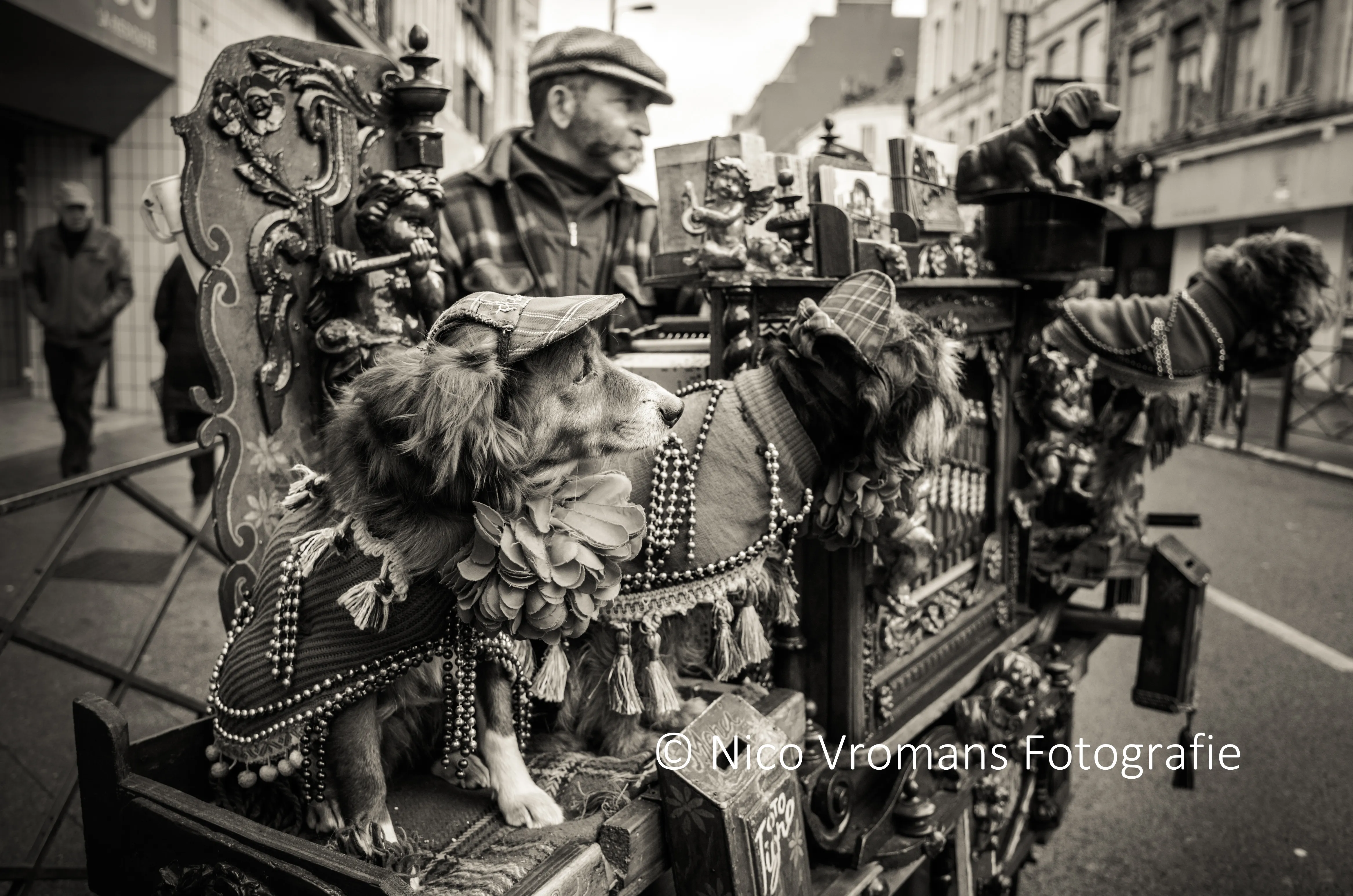 Decorated carousel horses with a man in a cap behind them